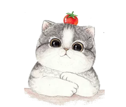 image.png